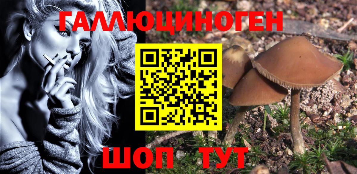 Галлюциногенные грибы Magic Shrooms  Вход с VPN  Кировск 