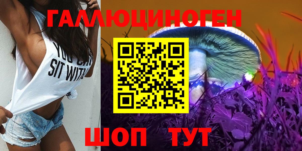 Псилоцибиновые грибы Psilocybe Кировск
